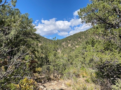 Secluded 36+ Acres in Cotopaxi,Co - image 19