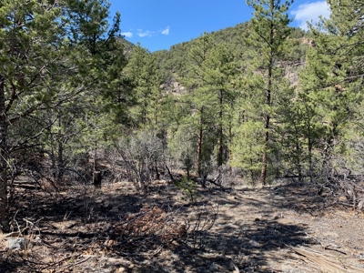 Secluded 36+ Acres in Cotopaxi,Co - image 7