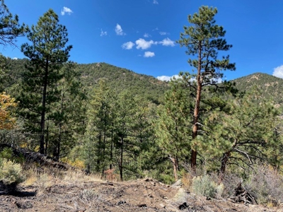 Secluded 36+ Acres in Cotopaxi,Co - image 17