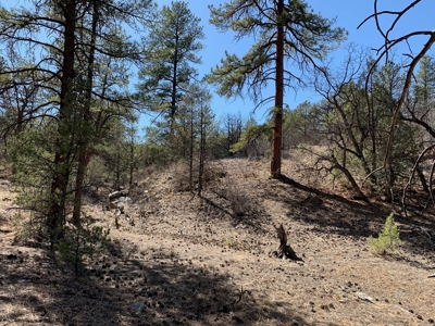 Secluded 36+ Acres in Cotopaxi,Co - image 2