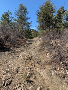 Secluded 36+ Acres in Cotopaxi,Co - image 6