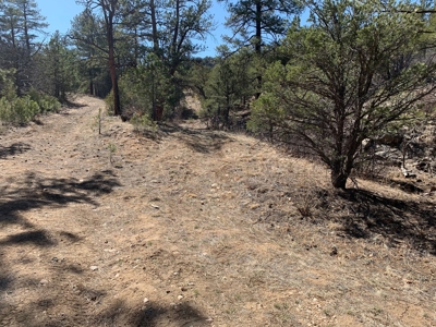 Secluded 36+ Acres in Cotopaxi,Co - image 3
