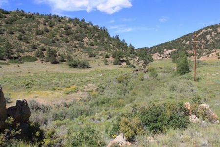 35+ Acres with Pasture and Views of the Mountains - image 3