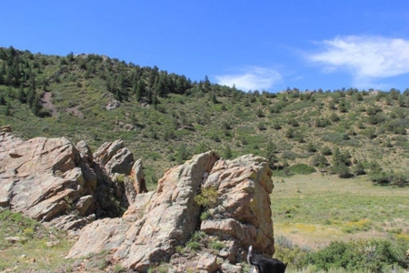 35+ Acres with Pasture and Views of the Mountains - image 2