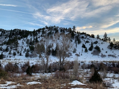 35+ Acres with Pasture and Views of the Mountains - image 8