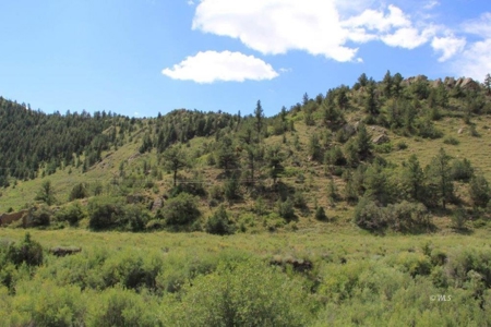 35+ Acres with Pasture and Views of the Mountains - image 4