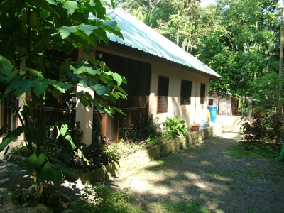 Mountain Acreage, Home, Rain Forest, Park Scene, Riverfront - image 3