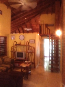 Mountain Acreage, Home, Rain Forest, Park Scene, Riverfront - image 8