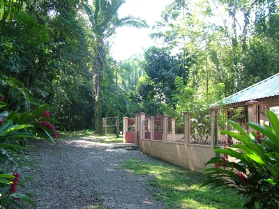 Mountain Acreage, Home, Rain Forest, Park Scene, Riverfront - image 4