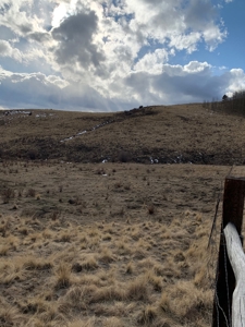 79.80 Acres with Mountain Views - image 11