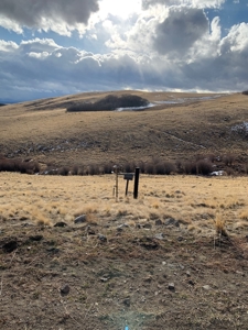 79.80 Acres with Mountain Views - image 7