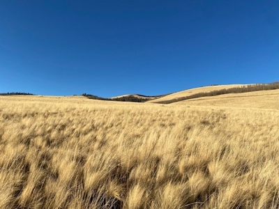 79.80 Acres with Mountain Views - image 13