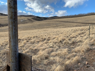 79.80 Acres with Mountain Views - image 5