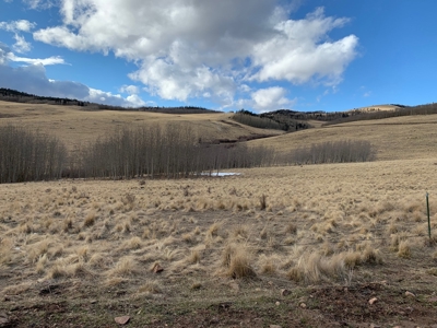 79.80 Acres with Mountain Views - image 2
