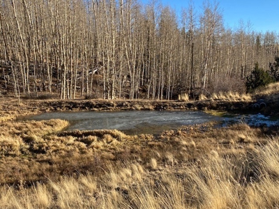 79.80 Acres with Mountain Views - image 12