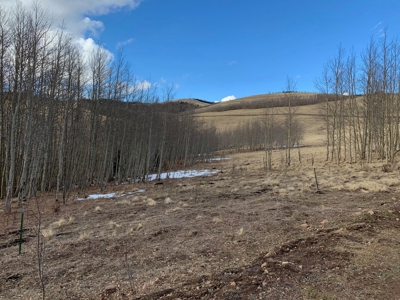 79.80 Acres with Mountain Views - image 3