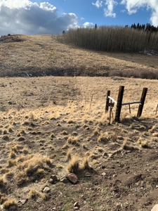 79.80 Acres with Mountain Views - image 8