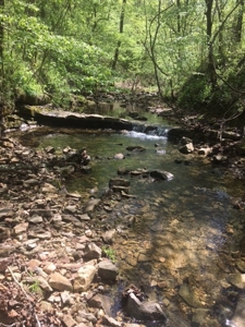 Riverfront Property For Sale In Arkansas On White River - image 12
