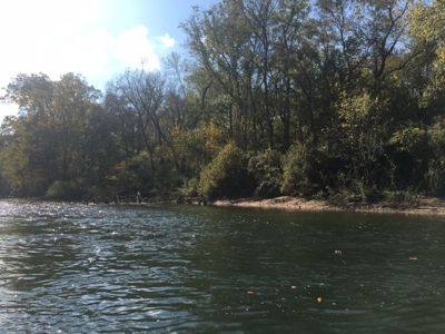 Riverfront Property For Sale In Arkansas On White River - image 8