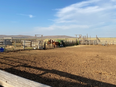 Sword Ranch For Sale In Princeton Oregon - image 20