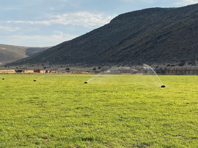 Sword Ranch For Sale In Princeton Oregon - image 14