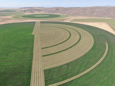 Sword Ranch For Sale In Princeton Oregon - image 11