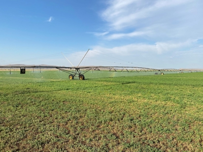 Sword Ranch For Sale In Princeton Oregon - image 24