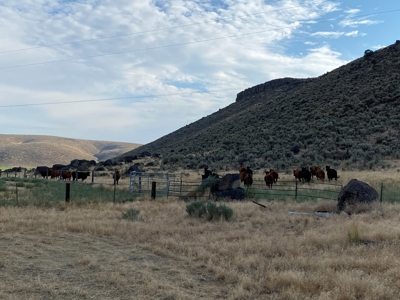 Sword Ranch For Sale In Princeton Oregon - image 21