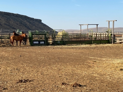 Sword Ranch For Sale In Princeton Oregon - image 17