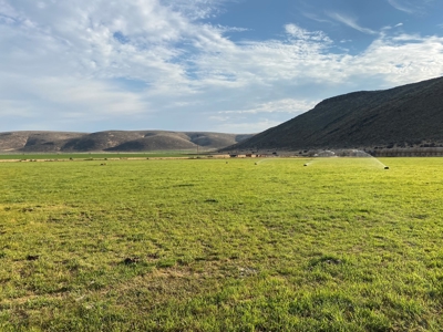 Sword Ranch For Sale In Princeton Oregon - image 5