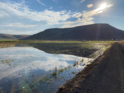 Sword Ranch For Sale In Princeton Oregon - image 2