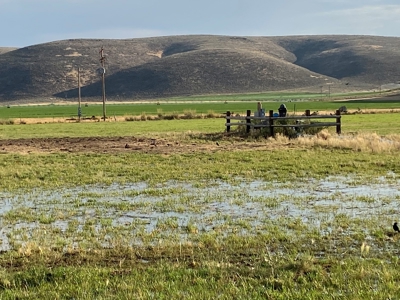 Sword Ranch For Sale In Princeton Oregon - image 6