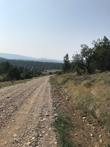 Recreational Real Estate for Sale Vacant Land Chama NM - image 4