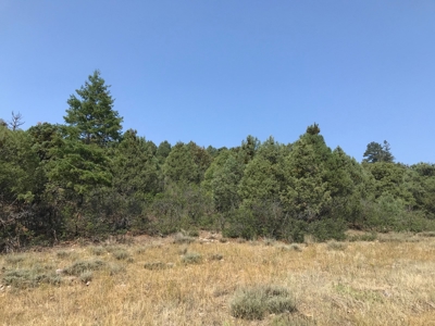 Recreational Real Estate for Sale Vacant Land Chama NM - image 2