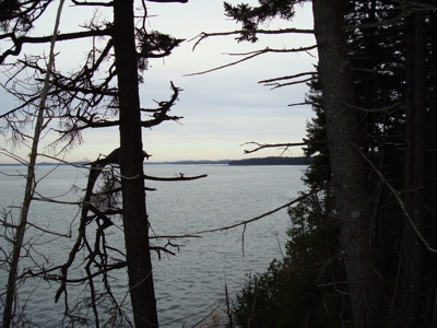 Coastal Land for Sale in Lubec, ME - image 8