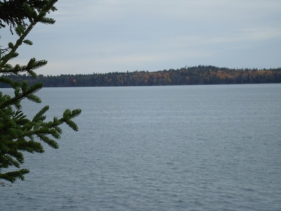 Coastal Land for Sale in Lubec, ME - image 9