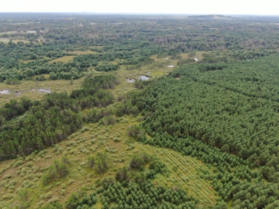240 acre timber and hunting property for sale in Central WI - image 14