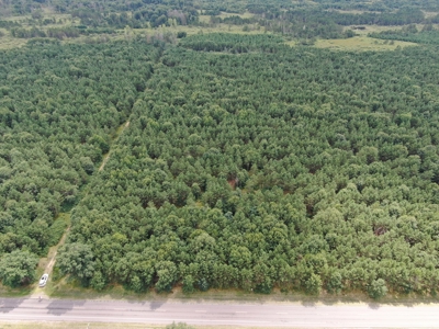 240 acre timber and hunting property for sale in Central WI - image 1