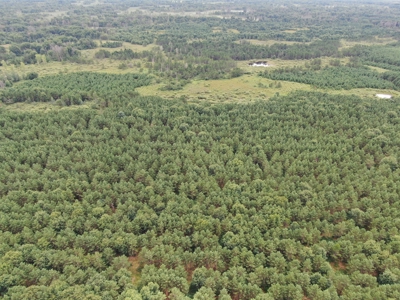 240 acre timber and hunting property for sale in Central WI - image 3