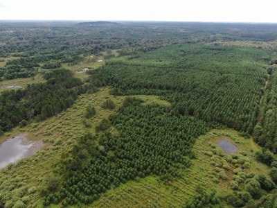 240 acre timber and hunting property for sale in Central WI - image 5