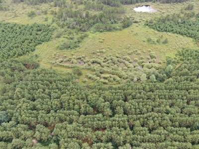 240 acre timber and hunting property for sale in Central WI - image 4