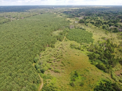 240 acre timber and hunting property for sale in Central WI - image 15