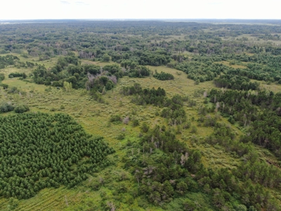 240 acre timber and hunting property for sale in Central WI - image 7