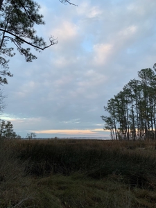 Riverfront Property for Sale Beaufort Co., Aurora NC - image 6