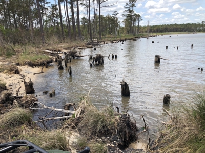 Waterfowl Hunting Property, NC - image 17