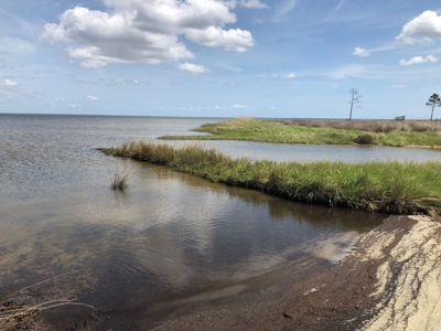 Waterfowl Hunting Property, NC - image 8