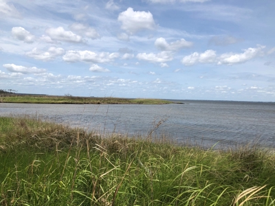 Waterfowl Hunting Property, NC - image 6