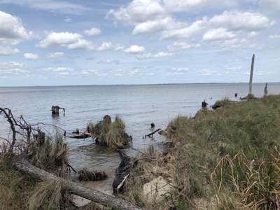 Waterfowl Hunting Property, NC - image 20