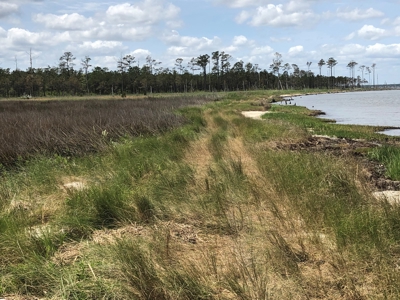 Waterfowl Hunting Property, NC - image 15