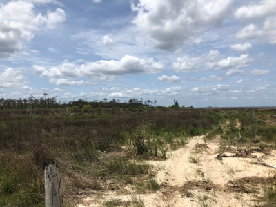 Waterfowl Hunting Property, NC - image 11